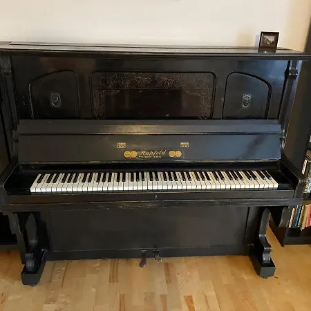 Ebony Pianino 布达佩斯